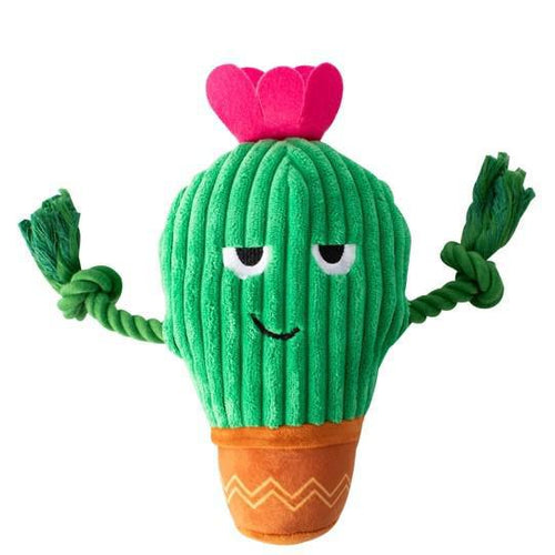 You Grow Chica! Cactus