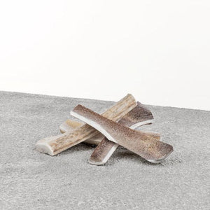 Primal Antler