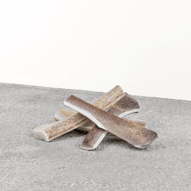 Primal Antler