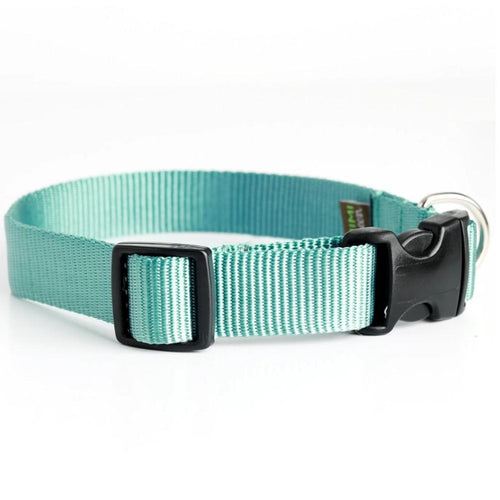 Mimi Green Nylon Webbing Dog Collars Teal