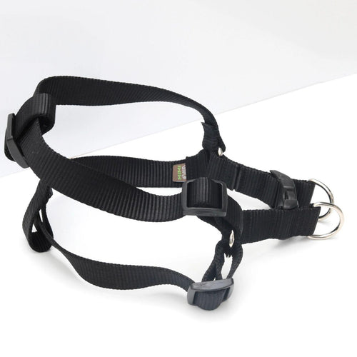 Mimi Green Nylon Webbing Harness  Black