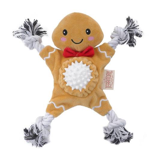 2 in 1 Holiday Gingerbread 10