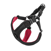 Load image into Gallery viewer, Gooby Escape Free Sport Black