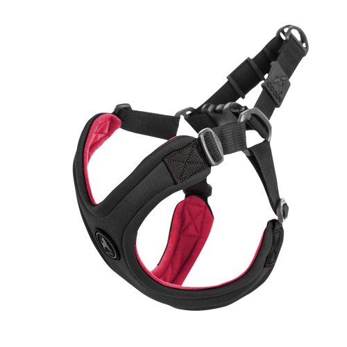 Gooby Escape Free Sport Black