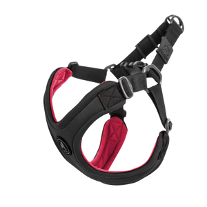 Gooby Escape Free Sport Black