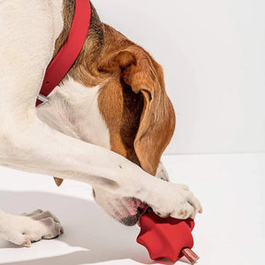 Twist Toss Treat Dispensing Dog Toy Strawberry