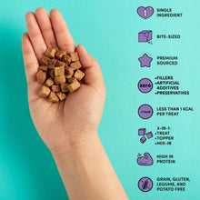 Load image into Gallery viewer, Snaggletooth Teeny Tiny Freeze Dried Raw Chicken Liver