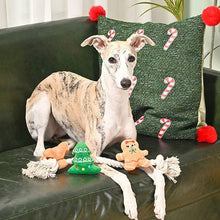 Load image into Gallery viewer, Holiday Gingerbread Man rope