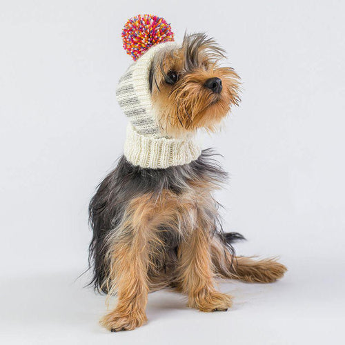 Rainbow Alpaca Dog Hat
