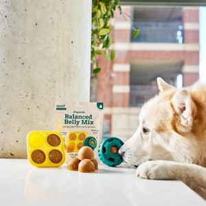 Woof dog Pupsicle Treat Mix  Balanced Belly
