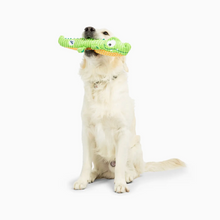 Load image into Gallery viewer, Fetchies Gus Gator