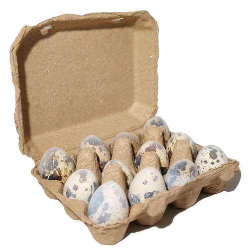 Savage cat Raw Quail Eggs 24ct