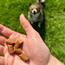 Load image into Gallery viewer, Otis Wild Things  Trainers Bison recipe