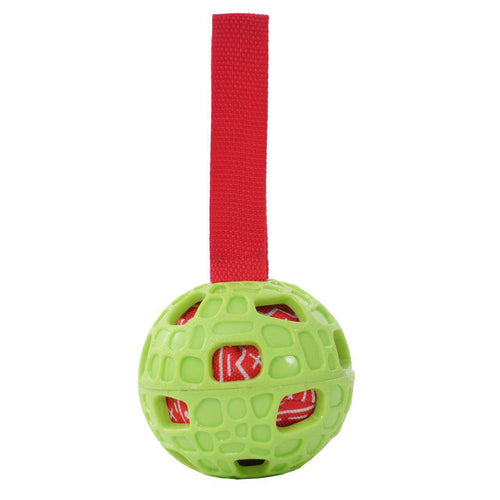 Fetch Ball  8