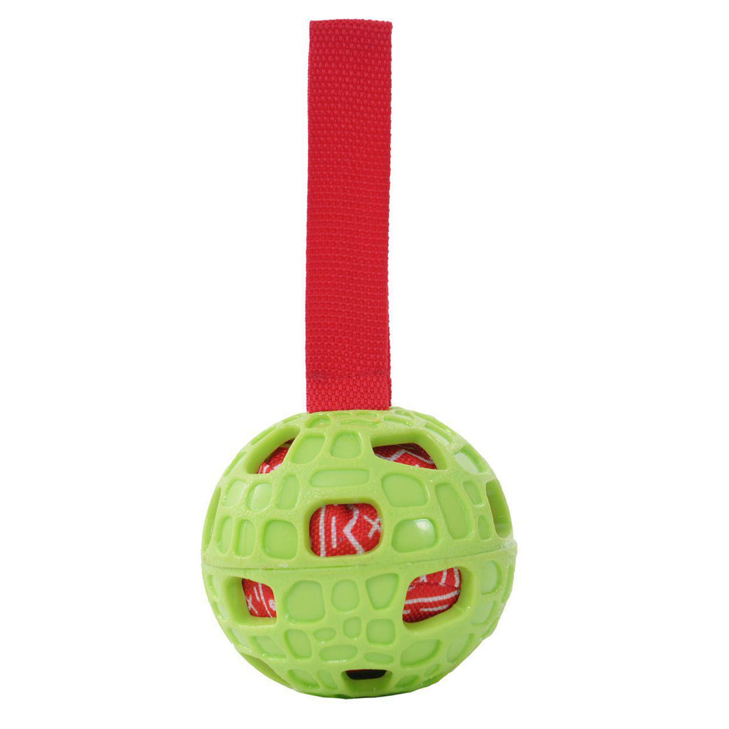 Fetch Ball  8