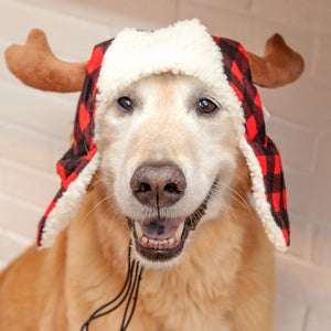 Antler Buffalo Check hat