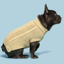 Load image into Gallery viewer, Fab Dog Oatmeal  super chunky turtleneck sweater