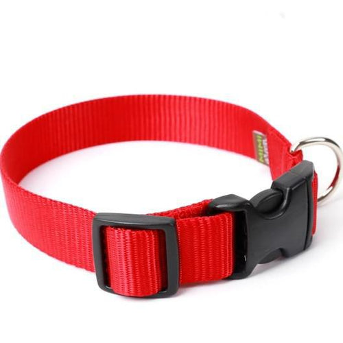 Mimi Green Nylon Webbing Dog Collars Red