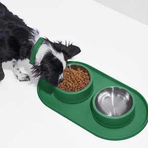 Silicon Dog Placemat Spruce