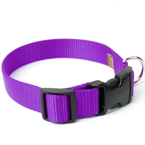 Mimi Green Nylon Webbing Dog Collars purple