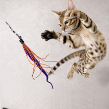 Load image into Gallery viewer, Wiggly Wand Cat Toy