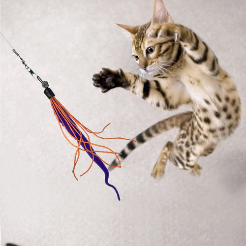 Wiggly Wand Cat Toy
