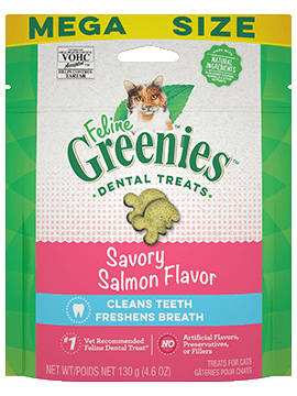 Greenies feline salmon dental treat