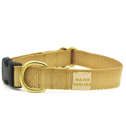 Release Buckle Collar GOLD