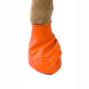 Paws Rubber Boots