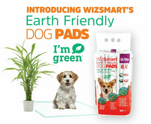Load image into Gallery viewer, WizSmart All Day Dry Earth Friendly 30pk
