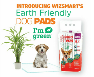 WizSmart All Day Dry Earth Friendly 30pk