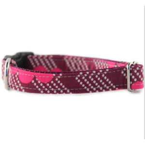 Raspberry Splash Dog Collar