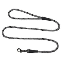 Load image into Gallery viewer, Mendota Snap Leash - Ice Silver