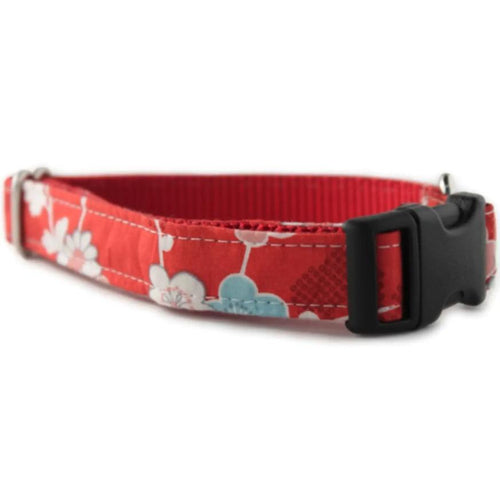 Azalea in Red Dog Collar